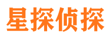 狮子山市侦探调查公司